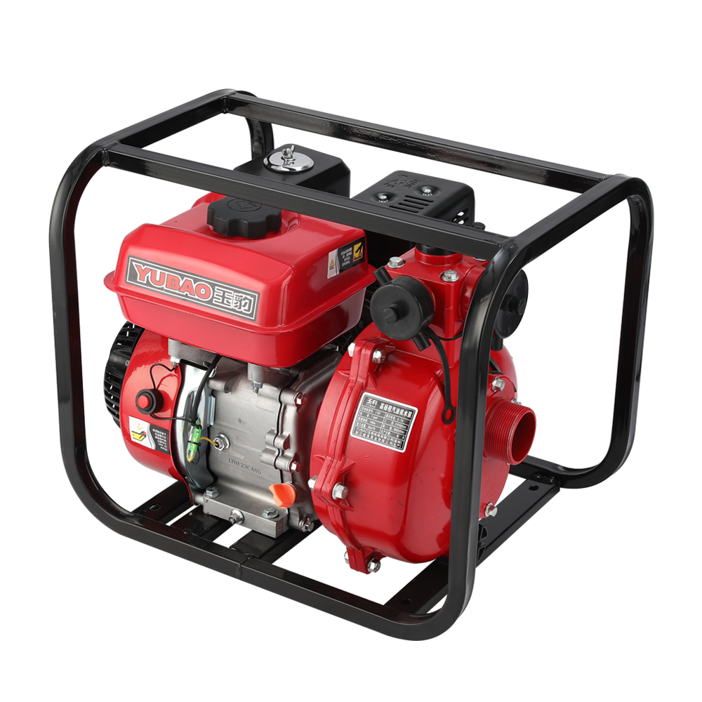 Manual Start Single/Twin Double 2-Inch