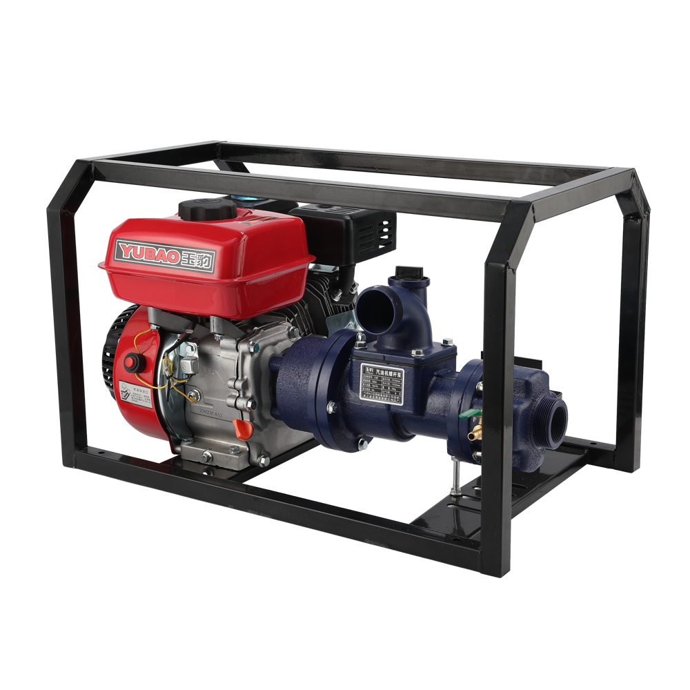 Electric Start Screw Pump 1-inch